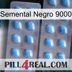 Black Stallion 9000 viagra4